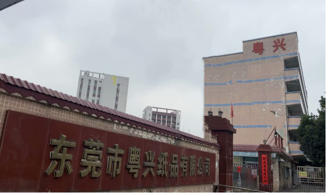 东莞市粤兴纸品有限公司：环保包装领域的创新领航者